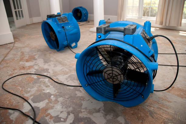 Best Basement water damage restoration  in Saddle Rock, NY