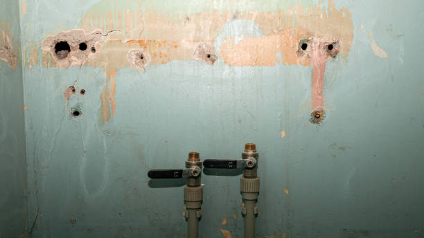 Best Water damage contractors near me  in Saddle Rock, NY