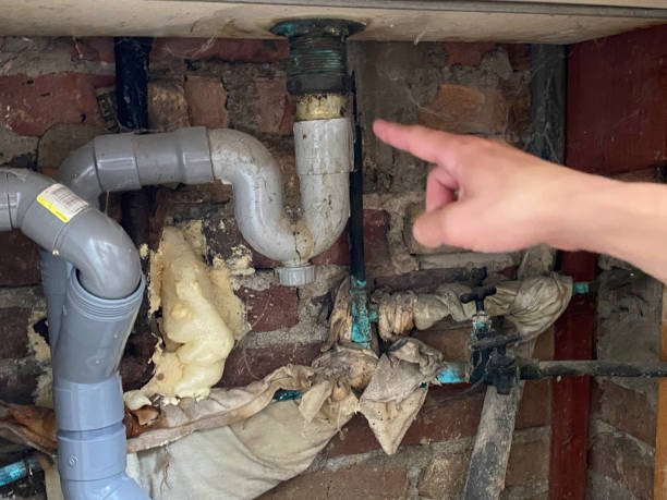Best Local water damage restoration  in Saddle Rock, NY